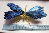 Aura dragonfly