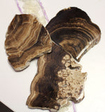 Chocolate Calcite slices