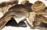 Chocolate Calcite slices