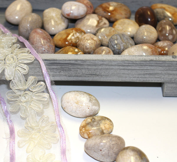 Fossil Jade