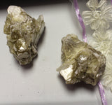 Muscovite