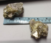 Muscovite