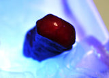Star Ruby