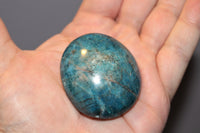 Apatite palmstone