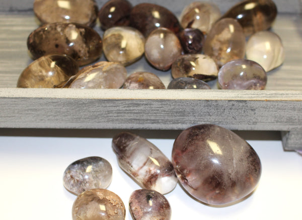 garden quartz, clear quartz with inclusions polished tops in order to see the inside