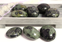 Kambaba palm stone, $25.00 a piece