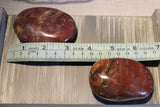 Petrified wood palm stone