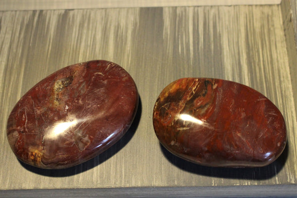 Petrified wood palmstone. 2.5 inches or 5+6cm in size. $20.00 per piece  