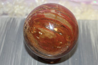 Petrified wood sphere, $50.00