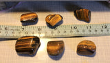 Tiger's eye tumbles