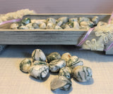 Tree Agate tumbles. Average size- .5 to 1 inch or 1-2.5cm .$1.50 per piece. 